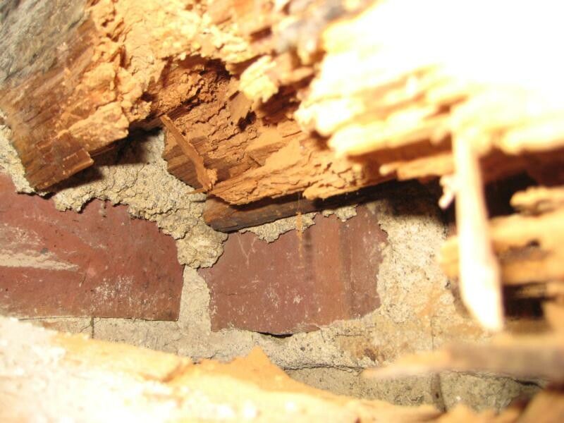 Braunfäule im Bereich Holzbalkenauflager im Mauerwerk